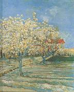Vincent Van Gogh Orchard in Blossom (nn04) oil painting reproduction